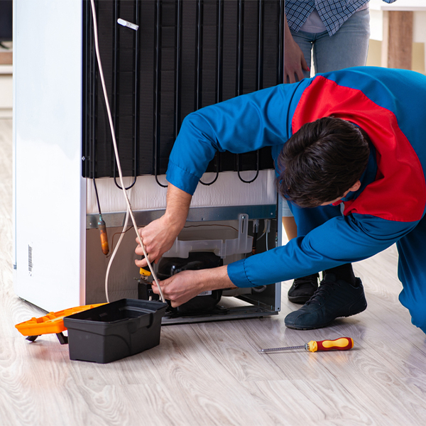 is it cost-effective to repair a refrigerator or replace it entirely in Rainbow